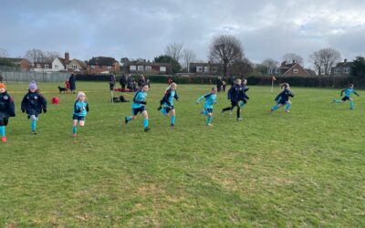 Crawley Down vs Worthing Divas